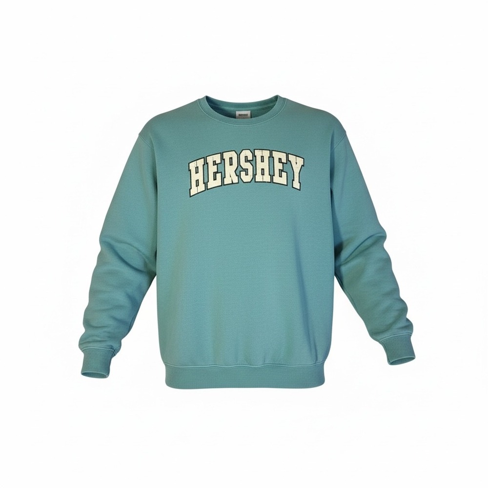 Vtg Comfort Colors Hershey Sweatshirt Small Green Garment Dye Crewneck Pullover